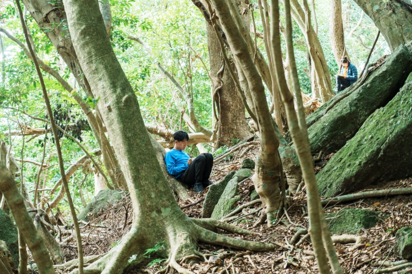 yakushima