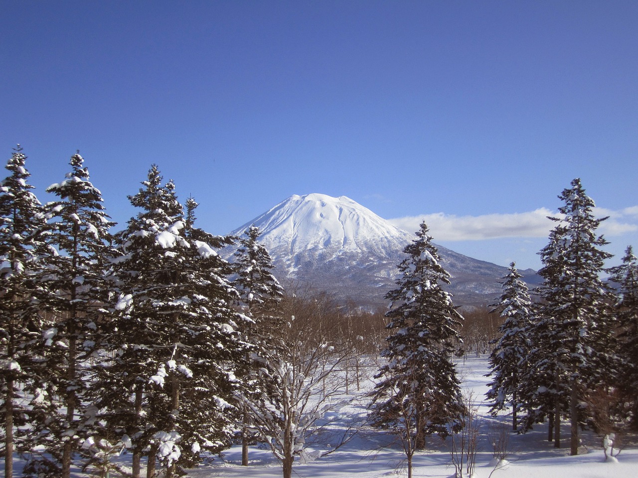 北海道 おすすめ宿