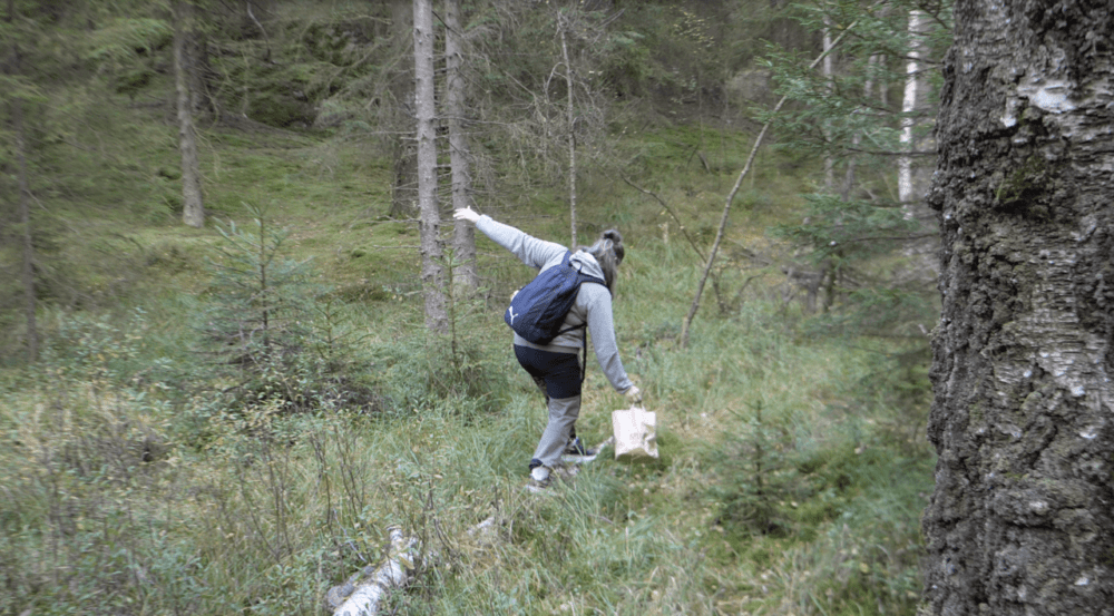 森の中を歩くスウェーデン人の友人
