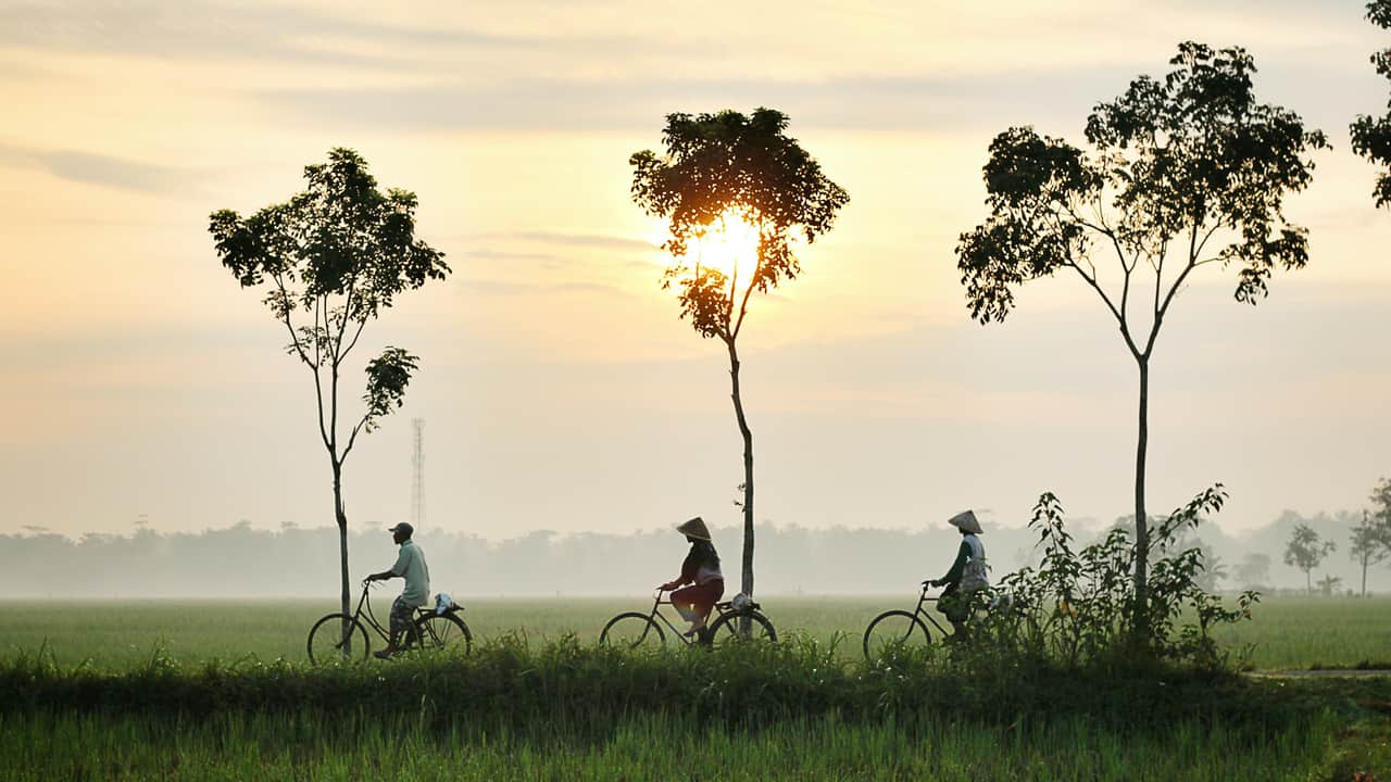 自転車　インドネシア