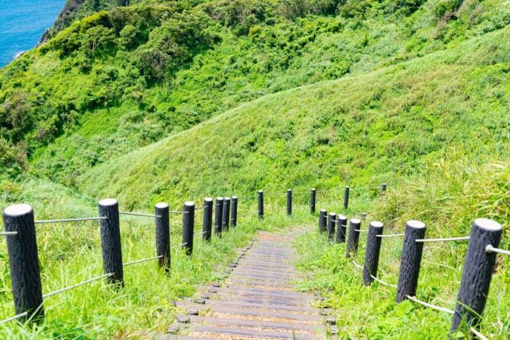 南伊豆の海へ下る草原の木道と柵