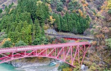 紅葉の山あいの渓谷に架かる赤い鉄道橋と杉林