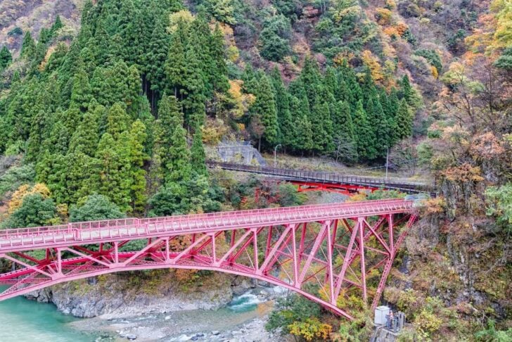 紅葉の山あいの渓谷に架かる赤い鉄道橋と杉林