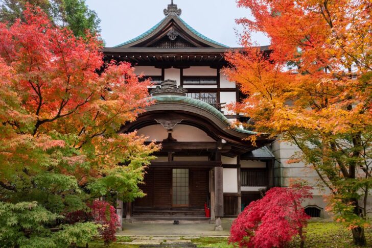 紅葉したもみじに囲まれた、人のいない京都の寺の建物