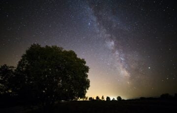 暗い草原の木のシルエットと、夜空に広がる天の川