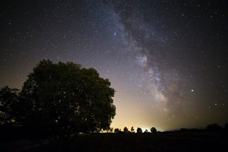 暗い草原の木のシルエットと、夜空に広がる天の川