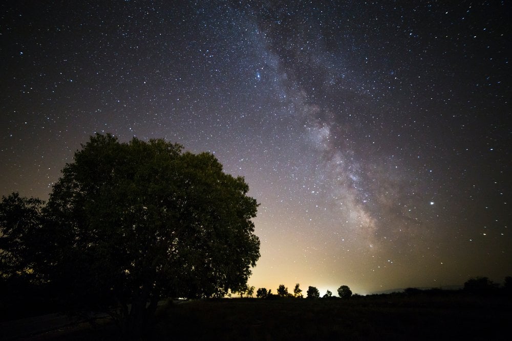 暗い草原の木のシルエットと、夜空に広がる天の川