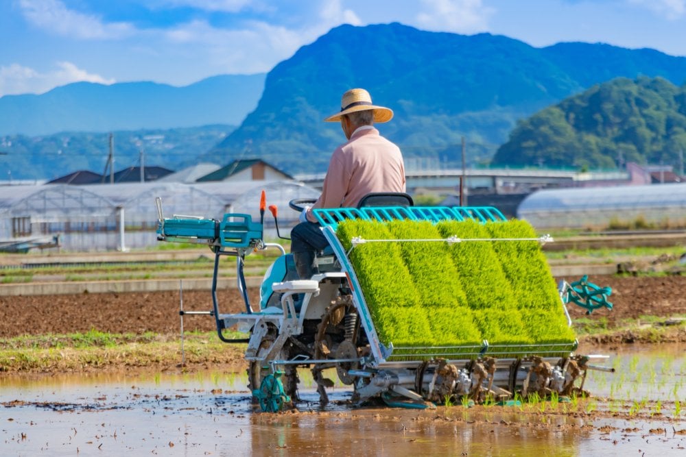 山並みを背に田植え機で苗を植える農家の後ろ姿