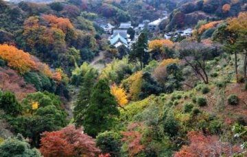 緑と紅葉がまだらに混じる山の斜面と、谷あいの寺の屋根