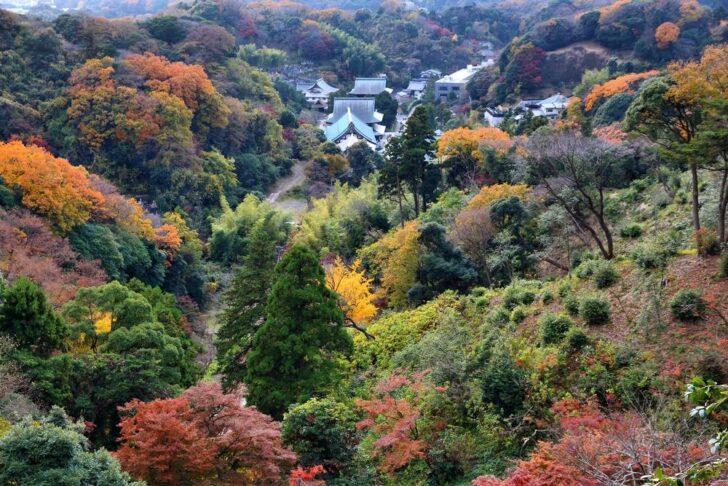 緑と紅葉がまだらに混じる山の斜面と、谷あいの寺の屋根