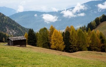 色づいたカラマツ林と山並みを背にした草地の木造小屋