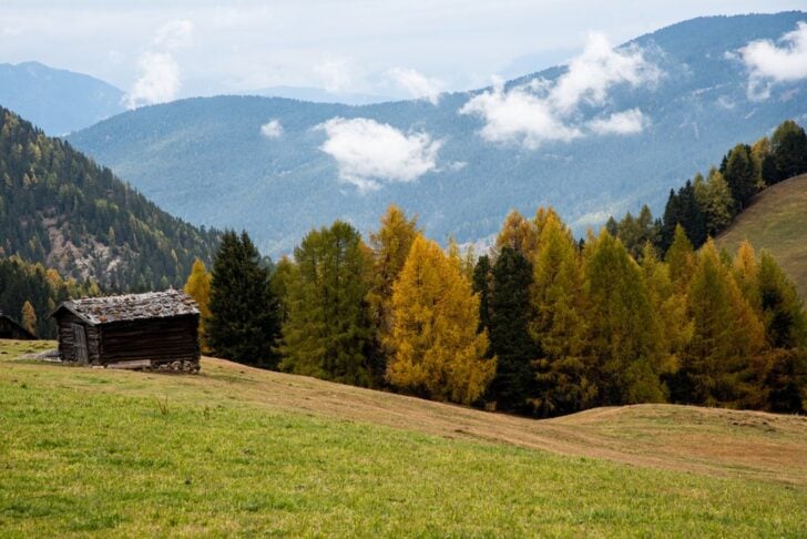 色づいたカラマツ林と山並みを背にした草地の木造小屋